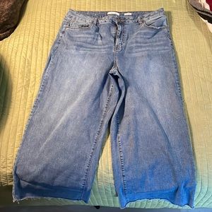 A Beautiful Soul (now called Arula) cropped wide leg jeans in size 18.